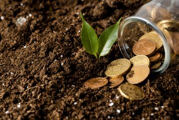 Investir dans son capital organique : du diagnostic au plan d'action