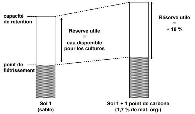 Structure du sol et agrégation par la matière organique