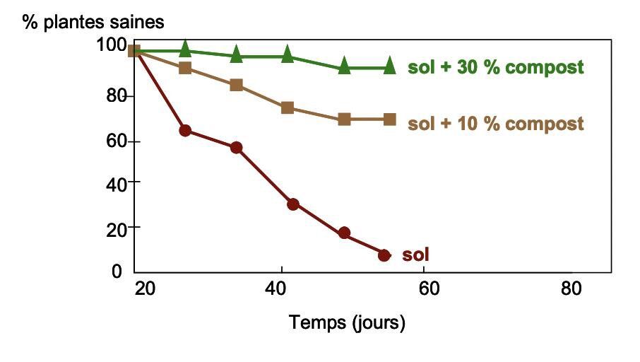 Effet du compost sur la progression de la fusariose vasculaire du lin