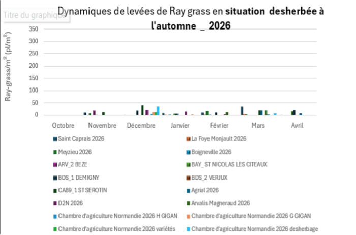 Dynamiques de levées de Ray grass en situation desherbée à l'automne 2026