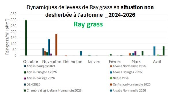Dynamiques de levées de Ray grass en situation non desherbée à l'automne 2024-2026
