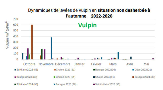 Dynamiques de levées de Vulpin en situation non desherbée à l'automne 2022-2026