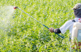 Homme pulvérise sur un champ