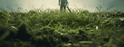 Un agriculteur dans un champs d'herbe