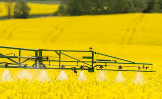 Fertilisation du colza : stratégie, apports, carences