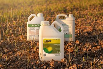 Packshot produits à base de flufénacet dans un champ de blé post levée