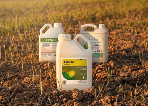 Packshot produits à base de flufénacet dans un champ de blé post levée