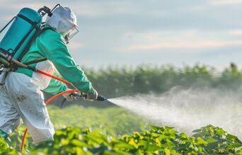 Homme qui pulvérise un champ de glyphosate