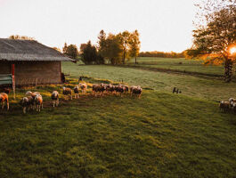 Investir dans les terres agricoles : la solution qui facilite l'installation des agriculteurs