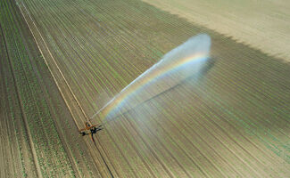 Irrigation agricole : présentation et conseils clés pour optimiser ses récoltes