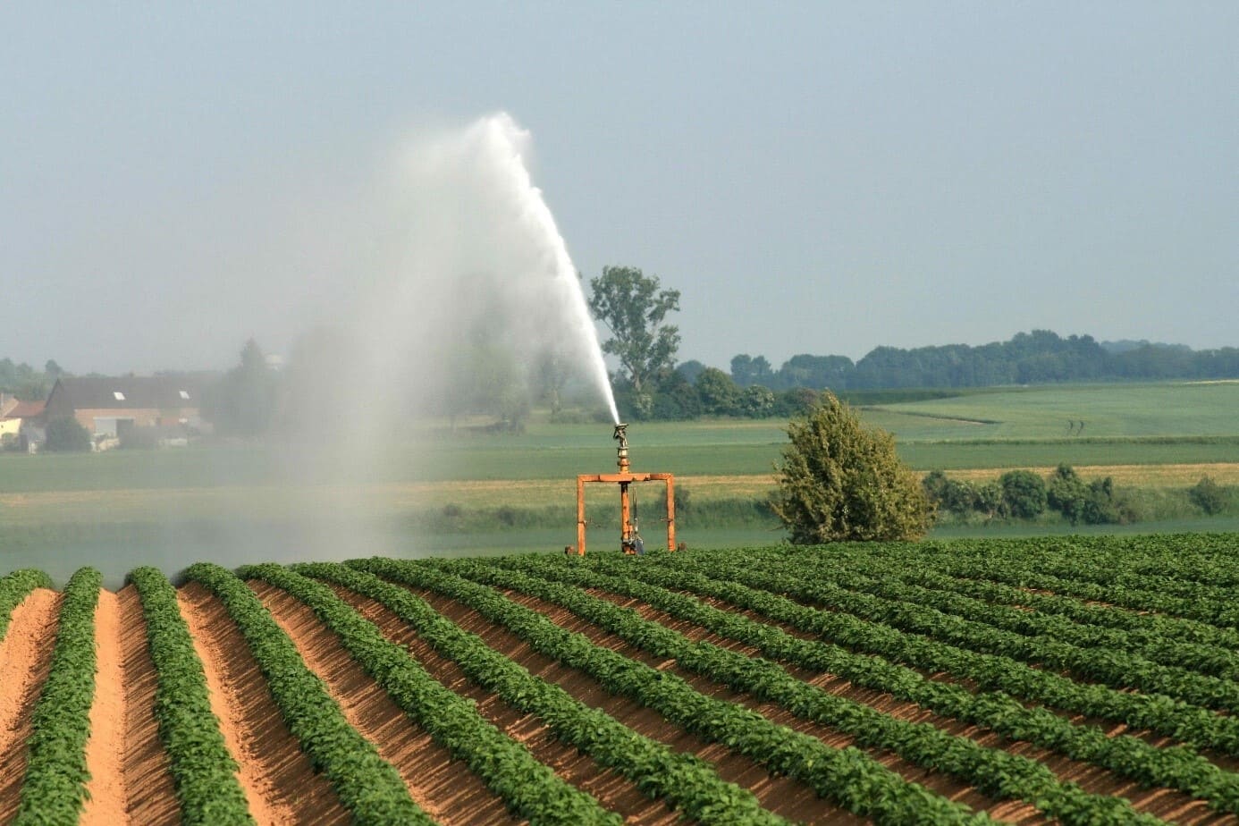 Irrigation – Mildiou - Micronutrition et biostimulation en début de cycle