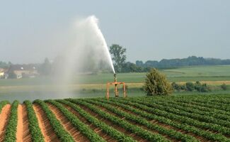 Irrigation – Mildiou - Micronutrition et biostimulation en début de cycle