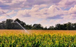 Maîtrisez l'irrigation en 2024 : un guide complet