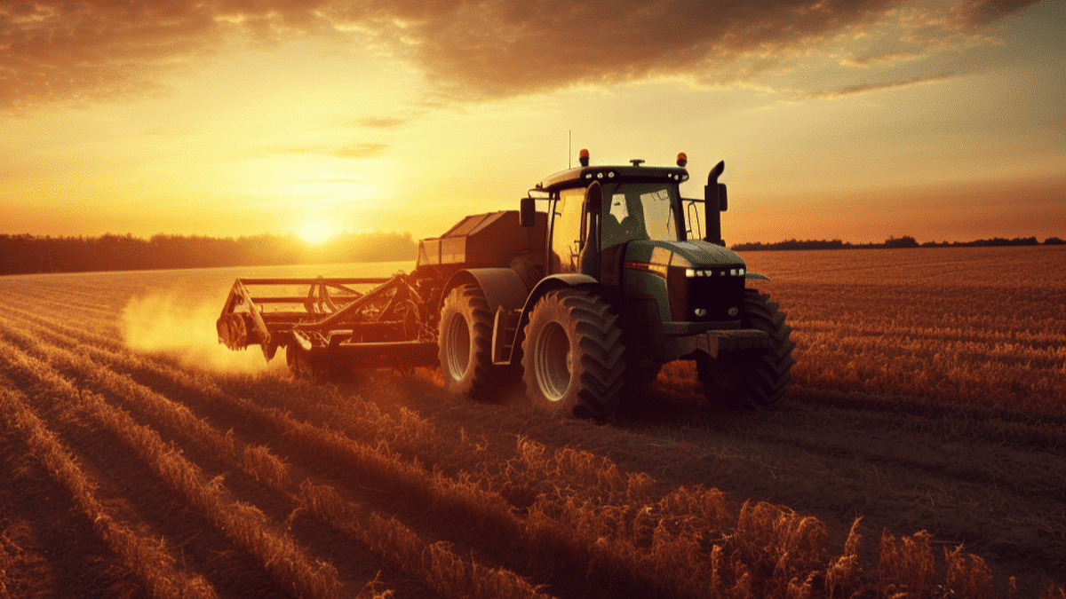 Fenaison : Tout ce qu'il faut savoir (Définition et Conseils)