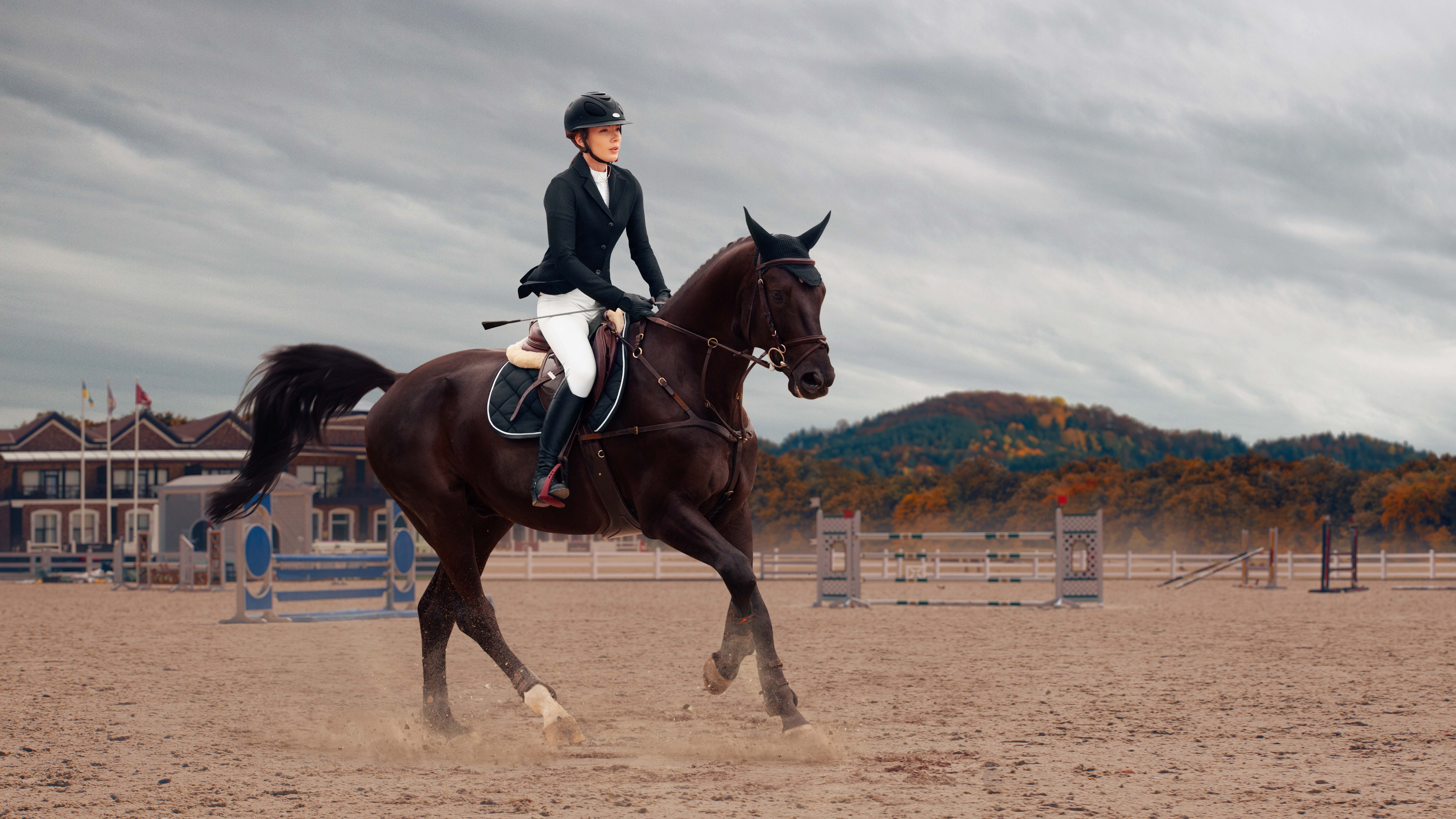 Matériel d'équitation : notre sélection pour chevaux et cavaliers