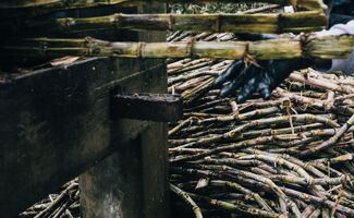 Mélasse de canne à sucre : fabrication et bienfaits