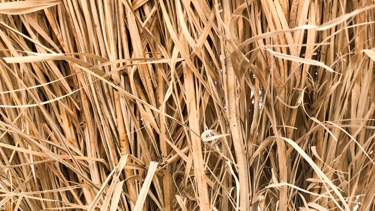 Paille agricole : ce qu’il faut savoir