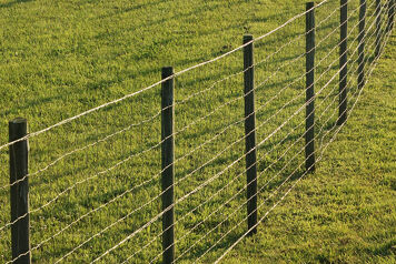 piquet de cloture en bois contournant une prairie