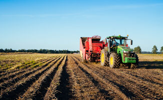 Plant de pomme de terre : gestion, protection et fertilisation avant plantation