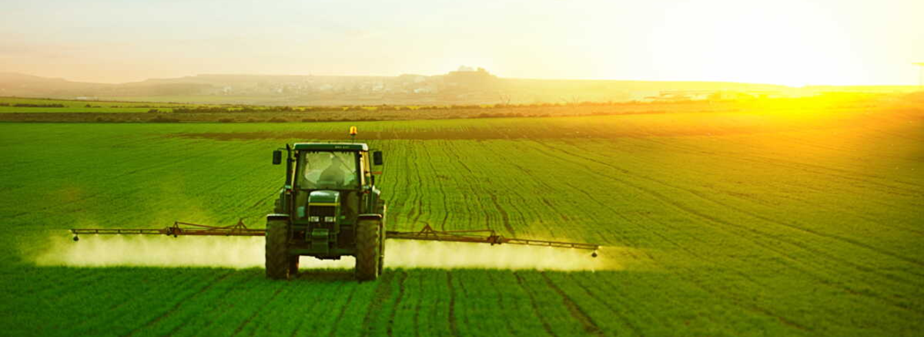 Réglementations et Directives liées aux CIPAN (Culture intermédiaire piège à nitrates)