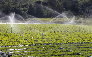 Comment installer un système d'irrigation automatique selon vos besoins ?