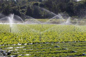 systeme irrigation champ en oeuvre
