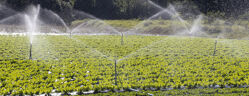 systeme irrigation champ en oeuvre
