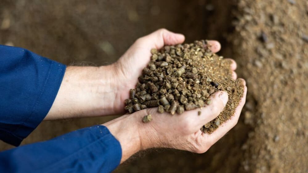 Les tourteaux : types et utilisations en alimentation animale