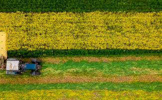 Tracteur MASSEY FERGUSON : les gammes, les prix et utilisations