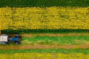 Tracteurs Massey Ferguson