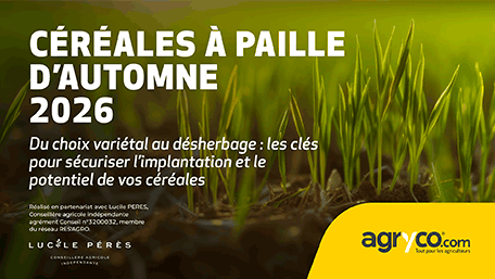 [NOUVEAU] Itinéraire cultural céréales à paille d'automne 2026
