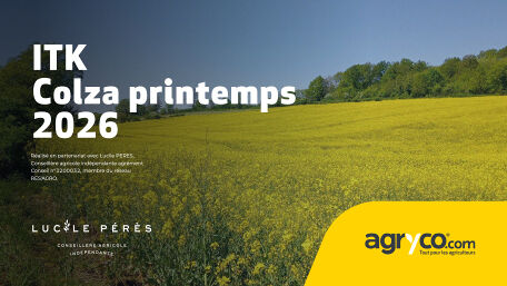 [NOUVEAU] Itinéraire cultural colza 2026 (partie printemps)