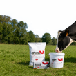 ration bovine