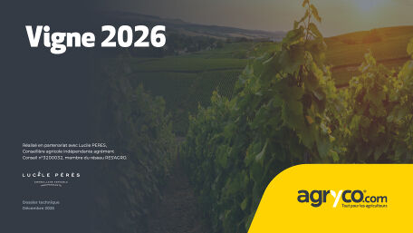 [NOUVEAU] Itinéraire cultural <br/> Vigne 2026