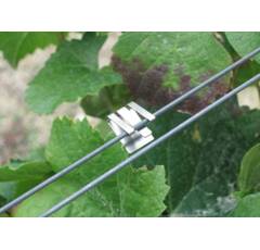 Fil inox pour le palissage de la vigne en viticulture