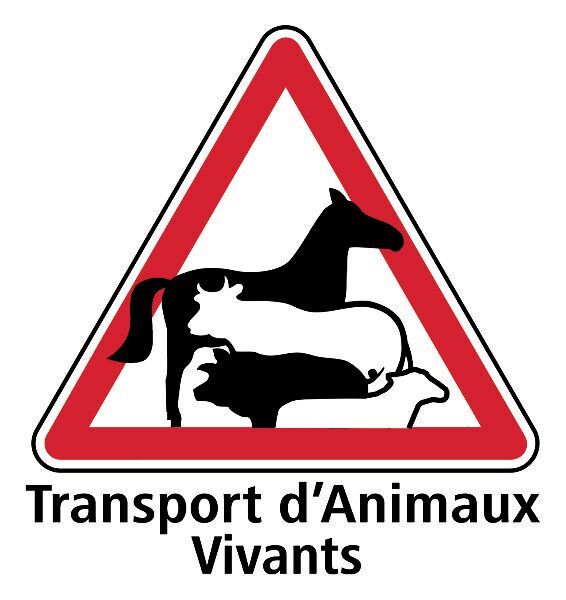 Autocollant Transport danimaux Vivants